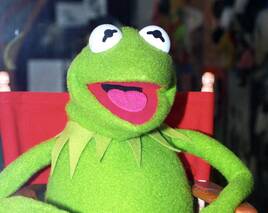 Der rasende Reporter Kermit hat Geburtstag: Alles Gute unserem liebenswürdigen Kollegen zum 50er