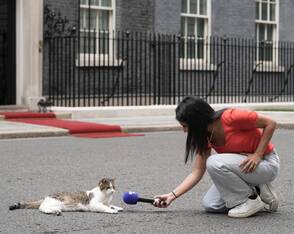 Etwas anderes Interview beim Macron-Besuch in London: Kater Larry