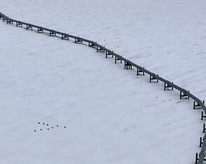Trans-Alaska-Pipeline