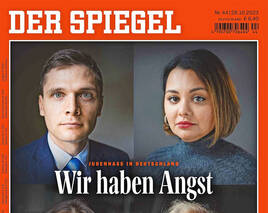 FAZ-Autor wirft „Spiegel“ Panikmache und Heuchelei vor